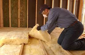 Best Wall Insulation Installation  in Farmville, VA